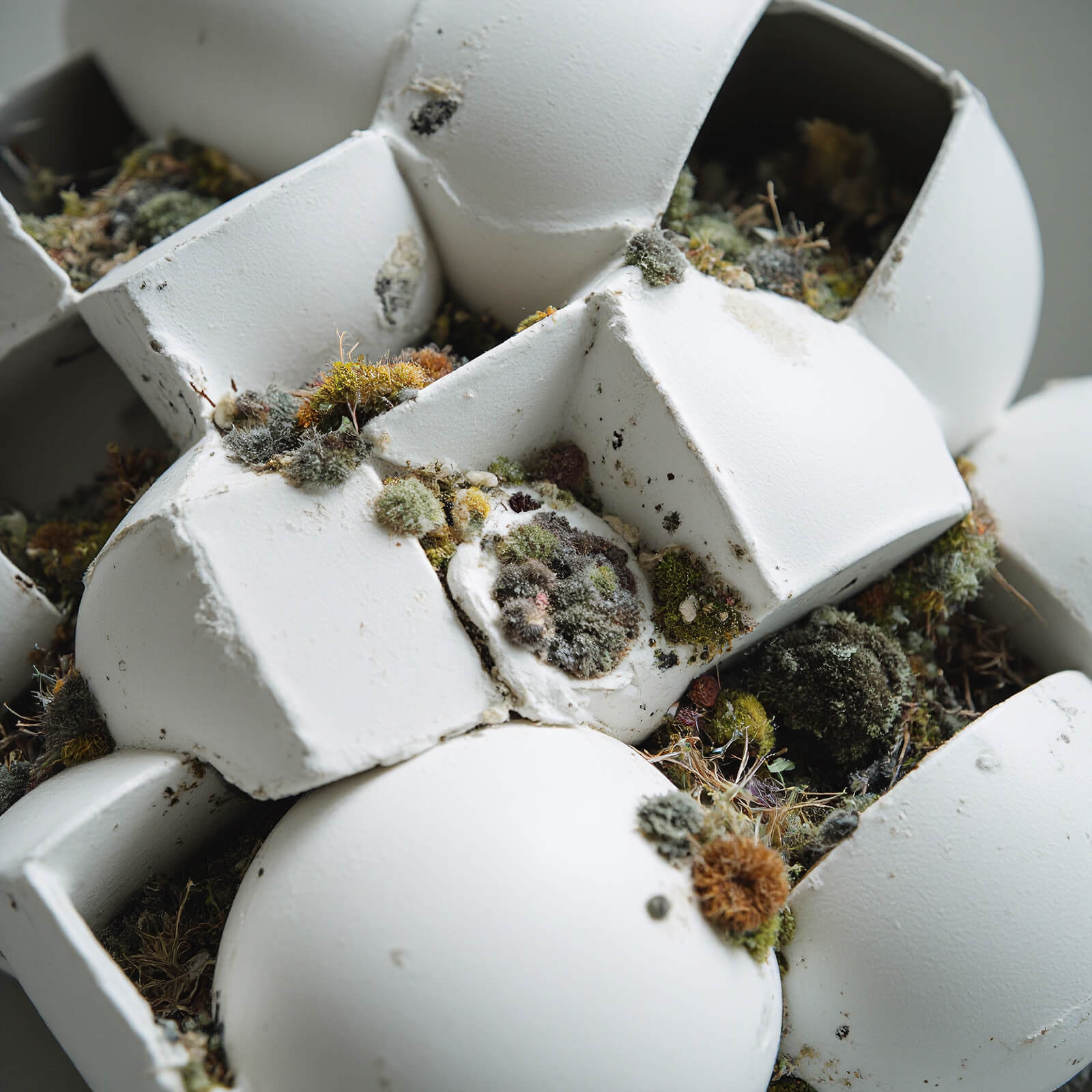 Gen_01 — detail 02