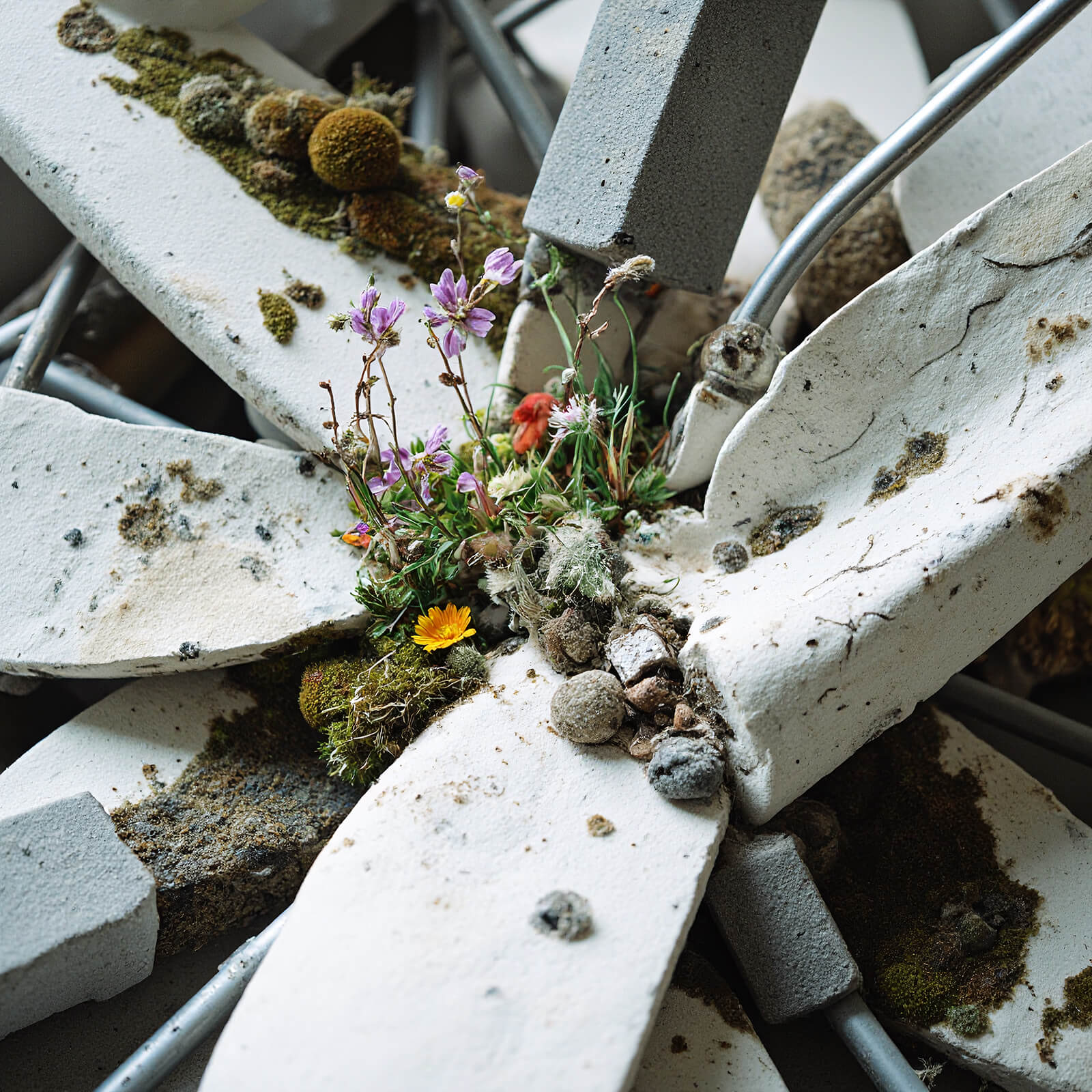 Gen_01 — detail 03